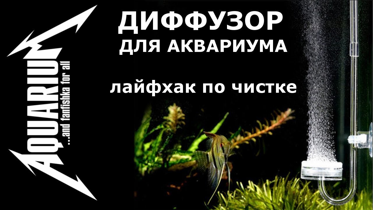 СО2 ДИФФУЗОР для аквариума! ЛАЙФХУК по чистке распылителя!