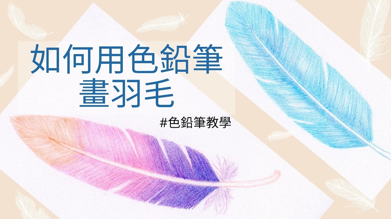 如何用色鉛筆畫羽毛｜一步步帶你畫｜適合初學者