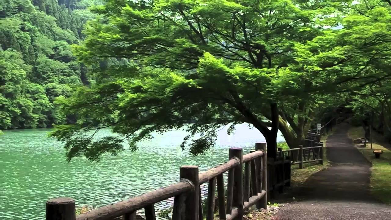 DISCOVERING TOYAMA, JAPAN  -  SHOGWA RIVER