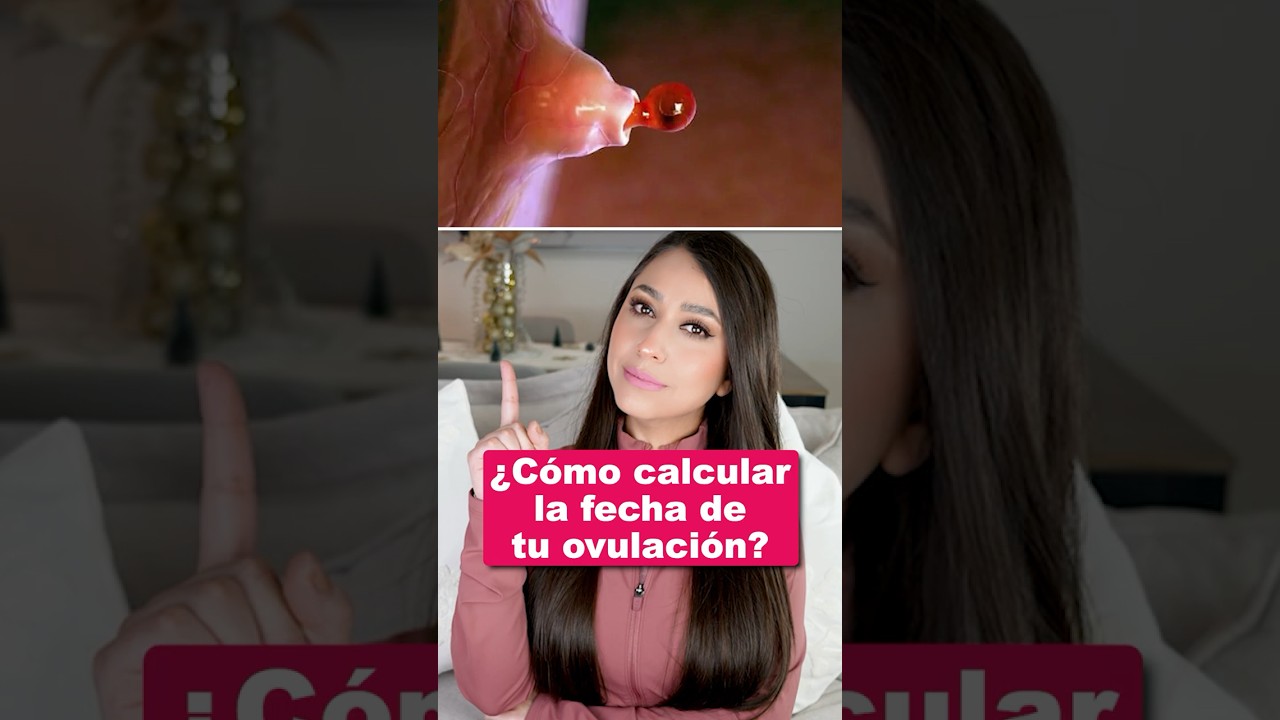 &iquest;C&oacute;mo calcular tu fecha de ovulaci&oacute;n?👩🏻&zwj;⚕️ #ovulaci&oacute;n #fertilidad #embarazo #saludfemenina