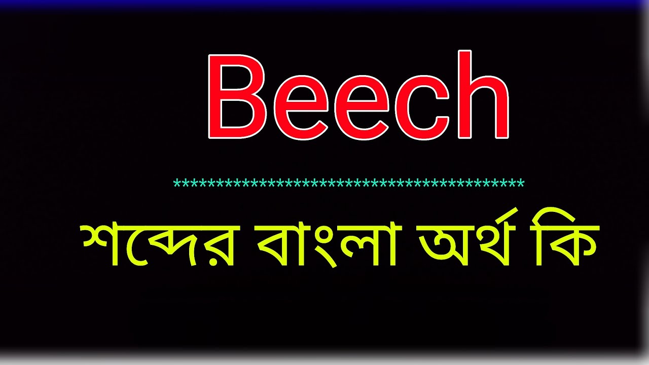 Beech শব্দের অর্থ কি । Beech meaning in bangla | Beech শব্দের বাংলা অনুবাদ কর। বীচ অর্থ কি