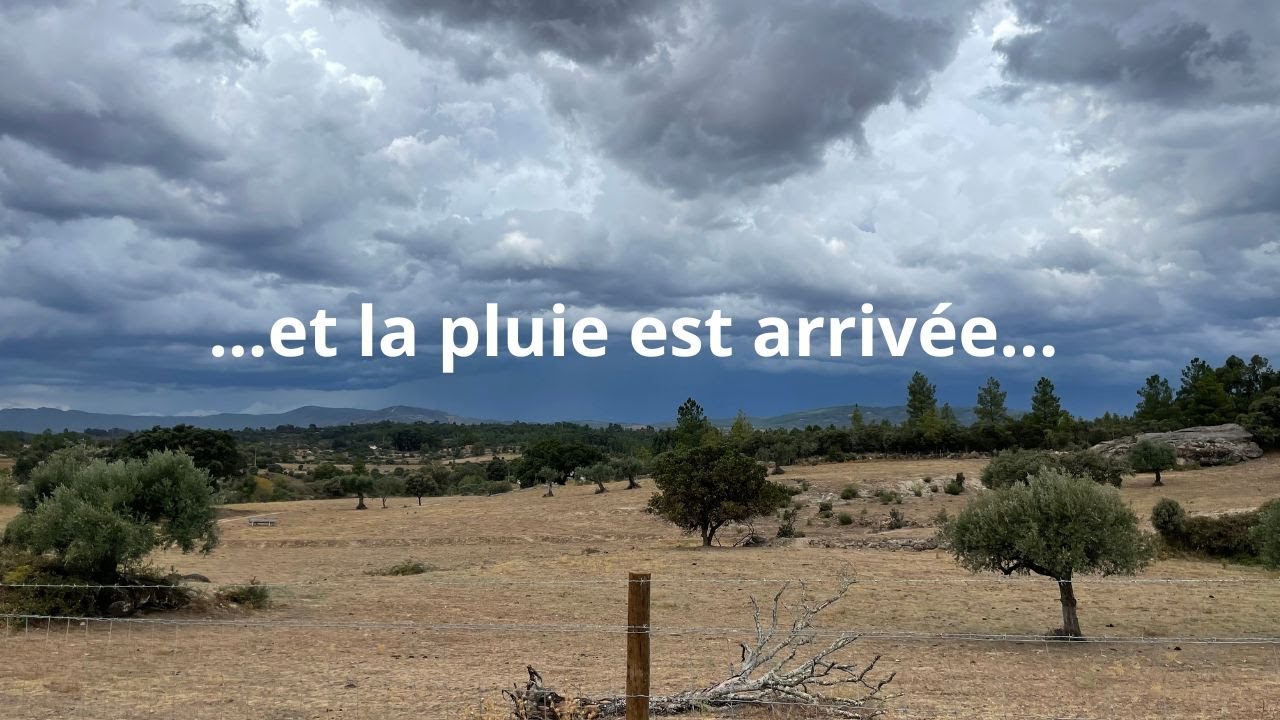 ...et la pluie est arrivée...