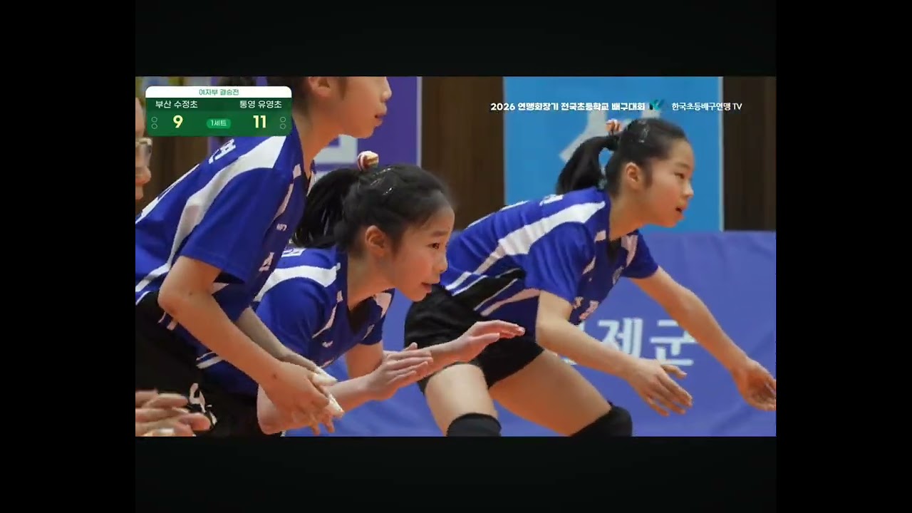 2026 연맹회장기 전국초등학교 배구대회 결승 부산 수정초 VS 통영 유영초 1세트