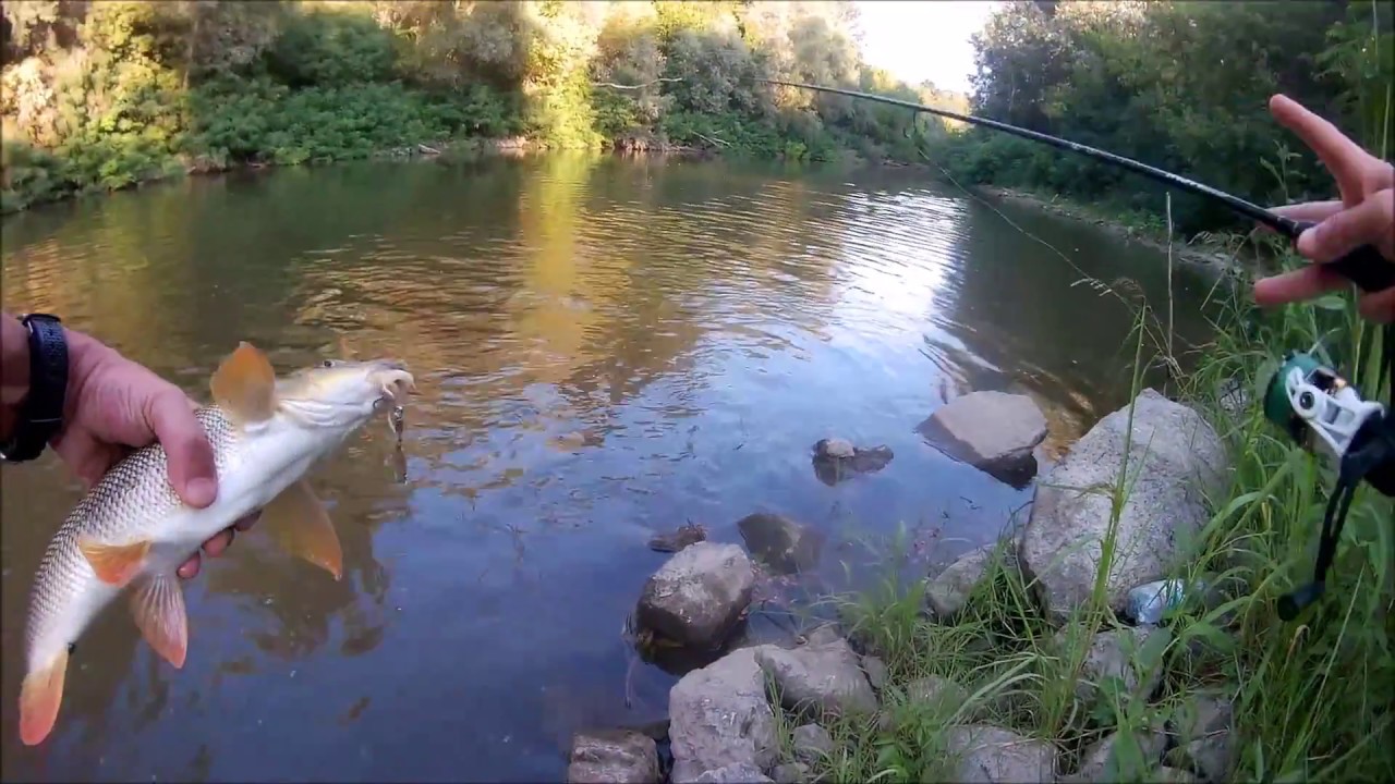 Pesca a Spinning, Passione Unica!!! Spinfishing a Unique Passion