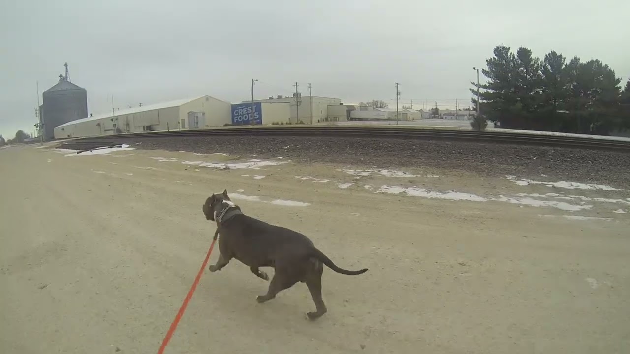 Adventures with Titan: Season 1 episode 1