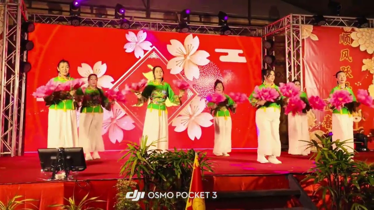 #喜洋洋的春天 #花舞