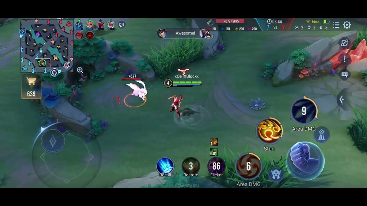 (Valhein M.V.P.) Arena Of Valor Mobile Thank You 