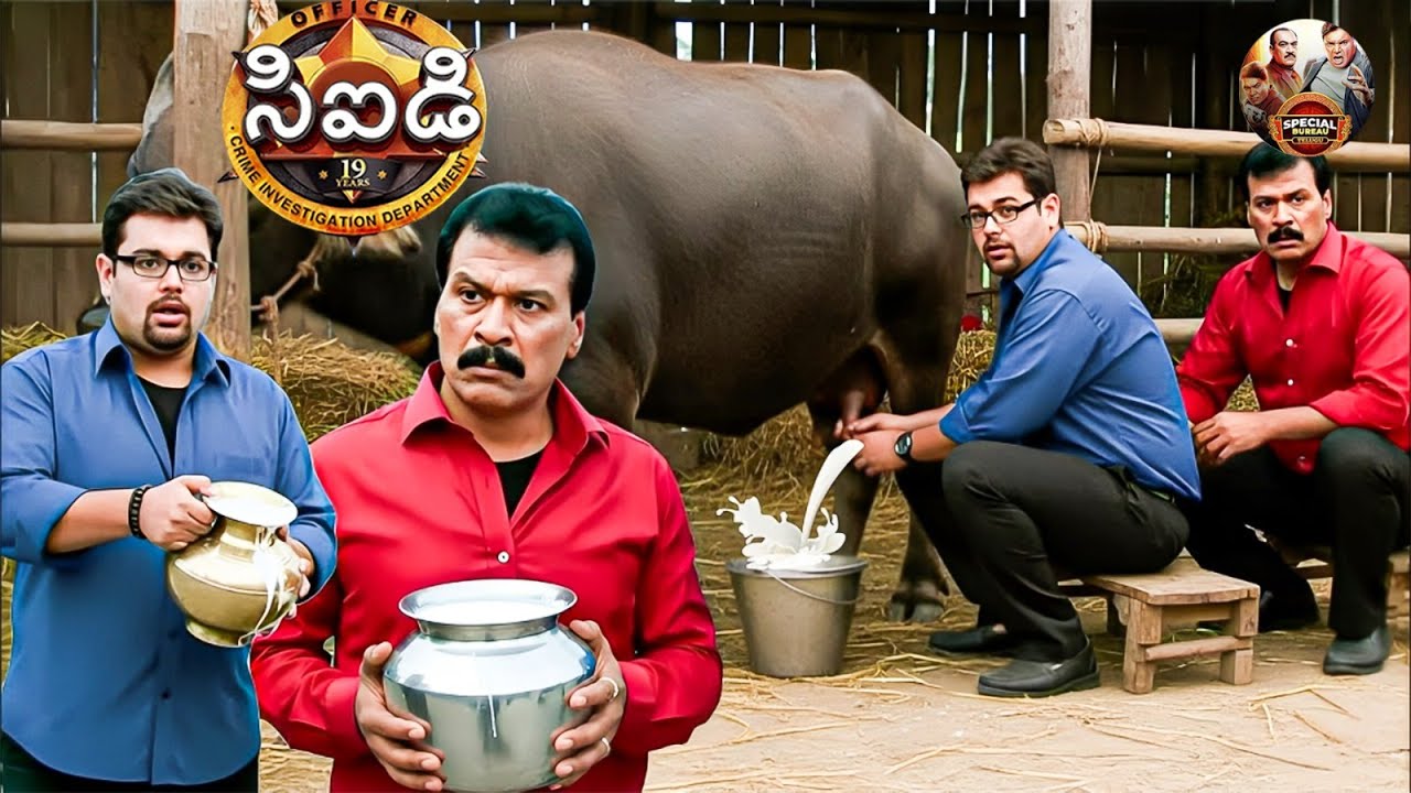 CID ని వదిలి, పంకజ్ మరియు ఫ్రెడ్డీ ఆవు పాలు ఇవ్వడానికి వెళ్తారు | CID | సీఐడీ | New Episode 1071