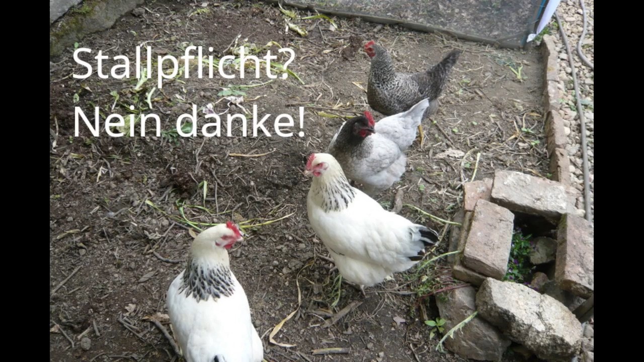 Selbstversorgung? Ja! Aber wo?