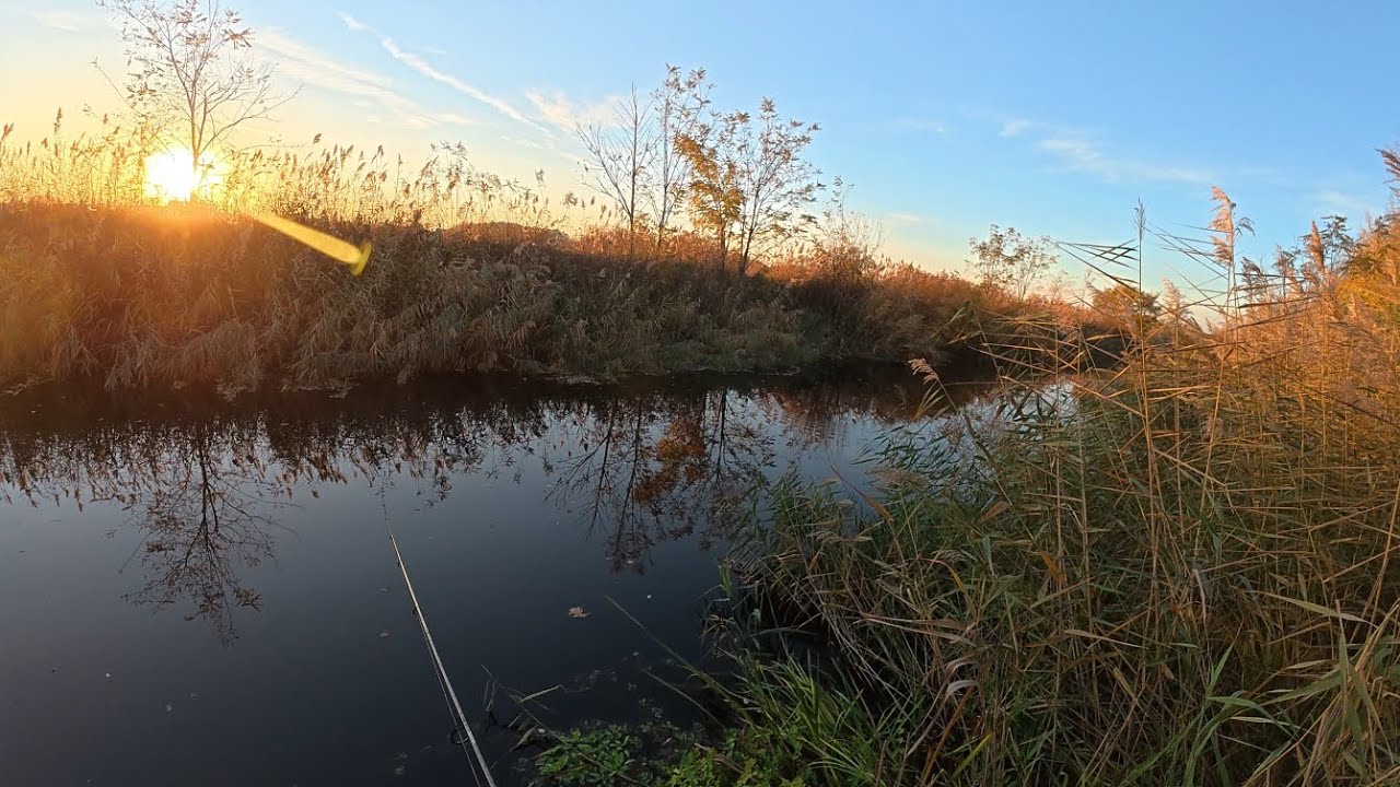 Duna-völgyi-főcsatorna.Pergetés csukára novemberben.