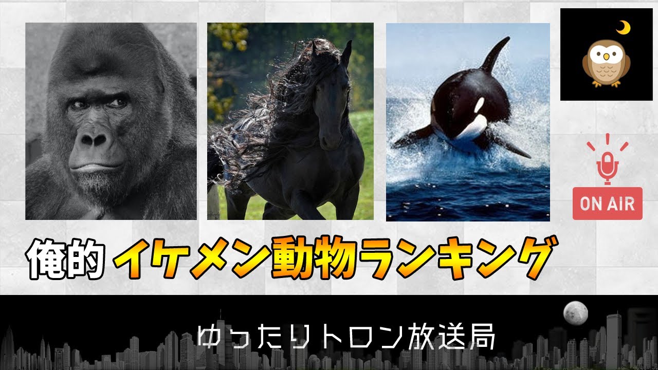 イケメン動物ランキング10を発表！1位は○○○○【フリートーク】