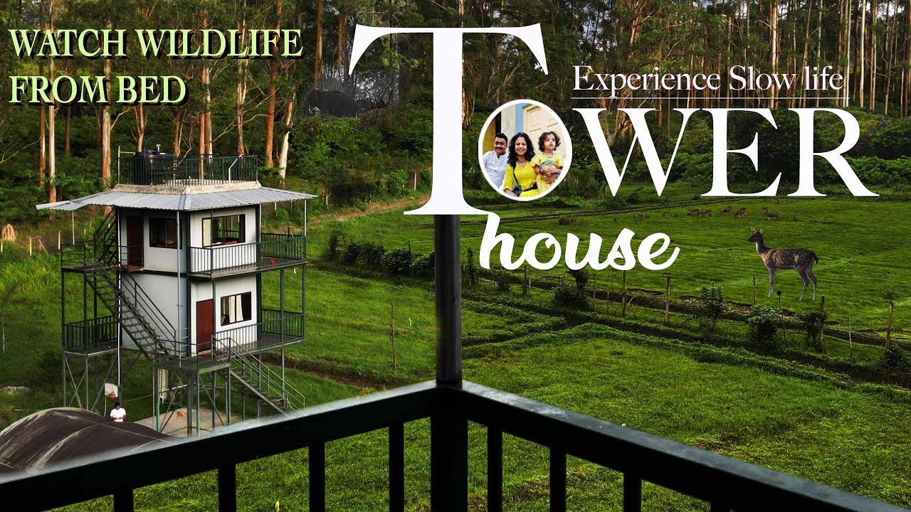 Tower house stay adjoining Bandipur, Mudumalai and Muthanga wildlife sanctuary | Wayanad forest stay