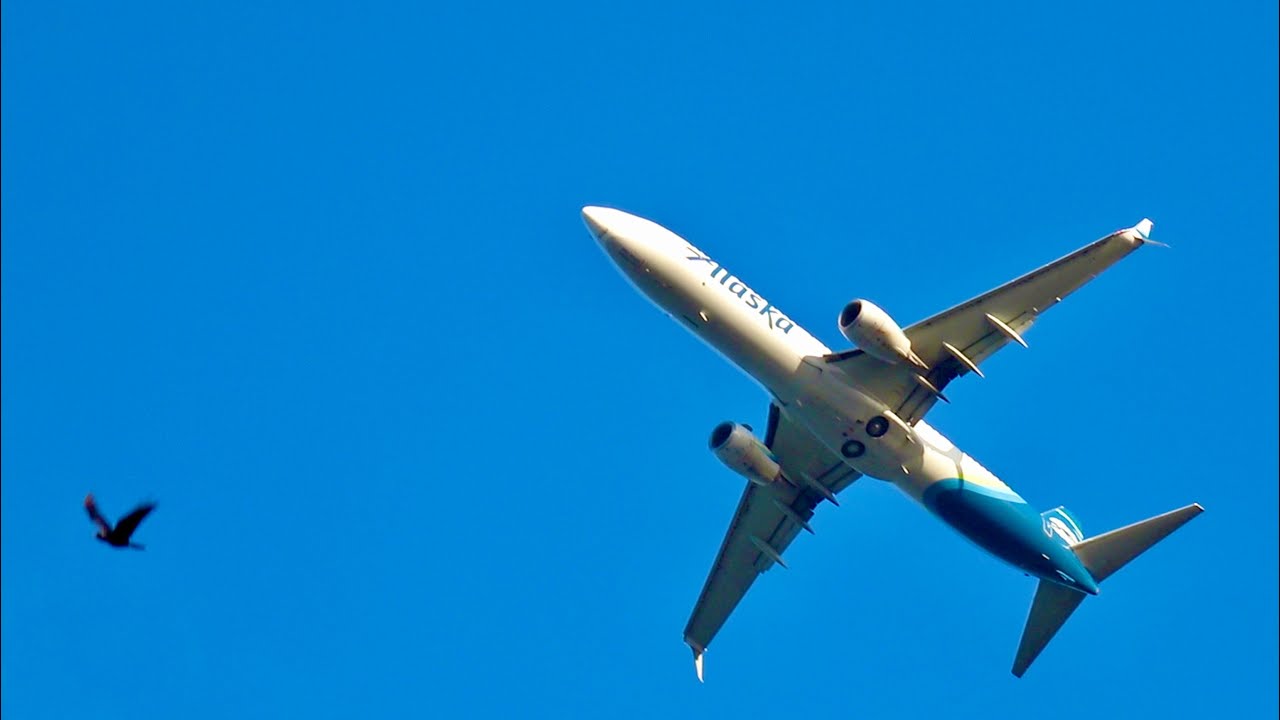 New Takeoff Landing Views United 757 Spotting TPA