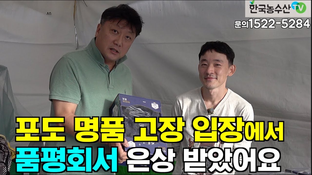 [한국농수산TV] 포도 명품 고장 입장에서... 품평회서 은상 받았어요