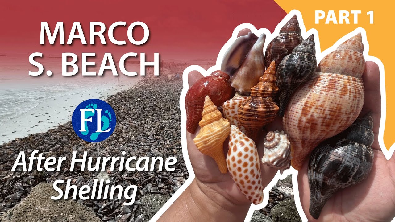 Part 1 of 2: Storm Shelling Marco South Beach Post Hurricane Milton