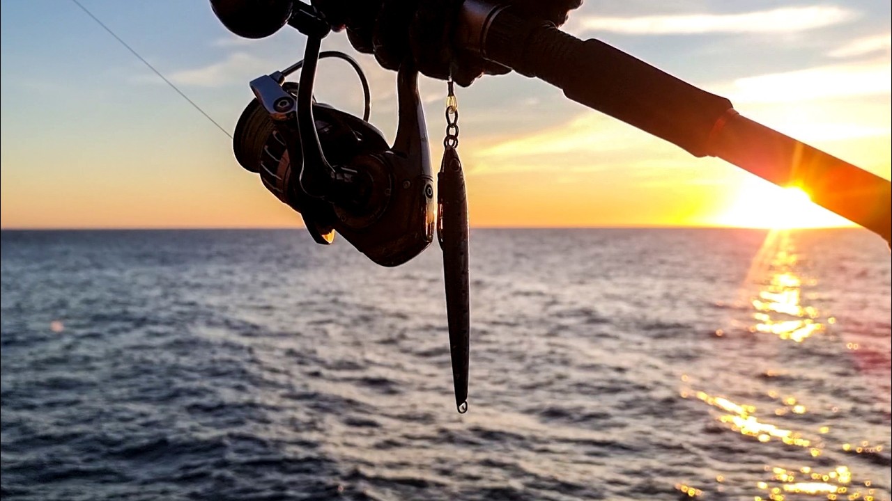 In scogliera tra SPINNING e SHORE JIGGING - RICCIOLA