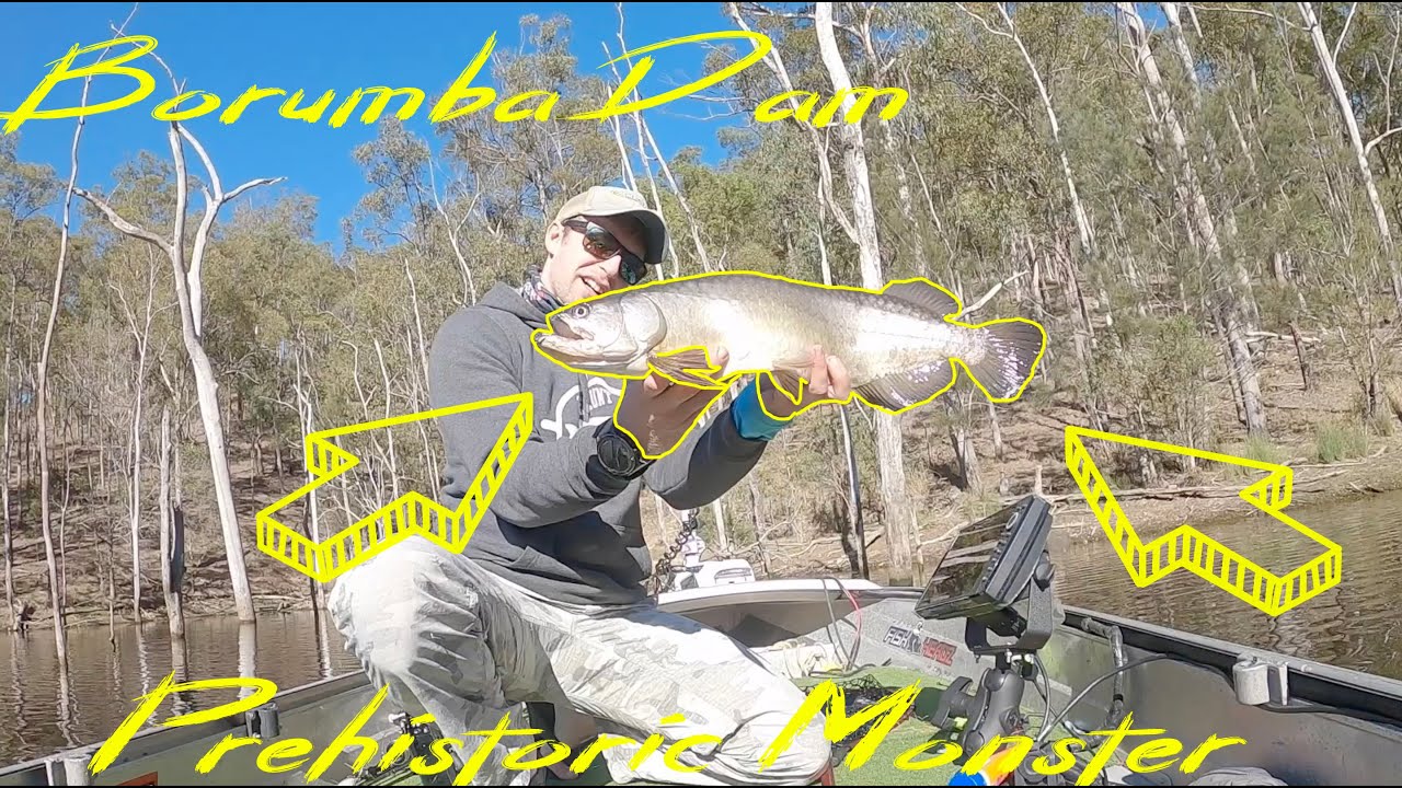 Australian Bass Fishing Borumba Dam (I catch a Prehistoric Monster)