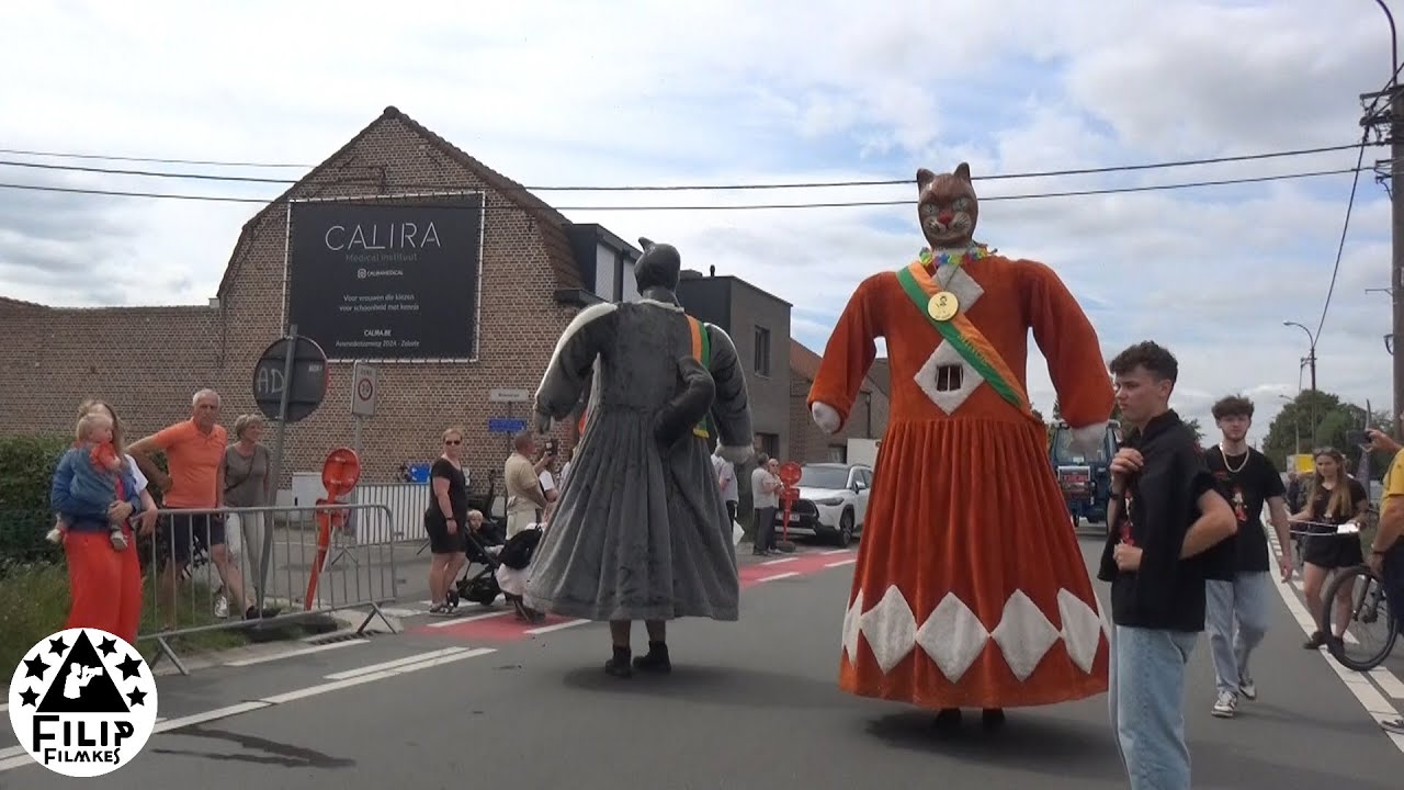 de  volledige katte stoet van Zelzate ( Oost vl  )  op 3 Aug 2025