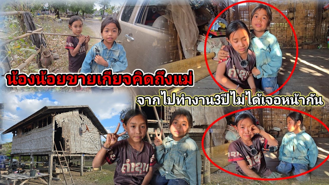 น้องน้อยขายเขียดคิดถึงแม่น้ำตาไหลจากไป3ปี ไม่ได้เจอหน้ากัน31 มกราคม ค.ศ. 2026