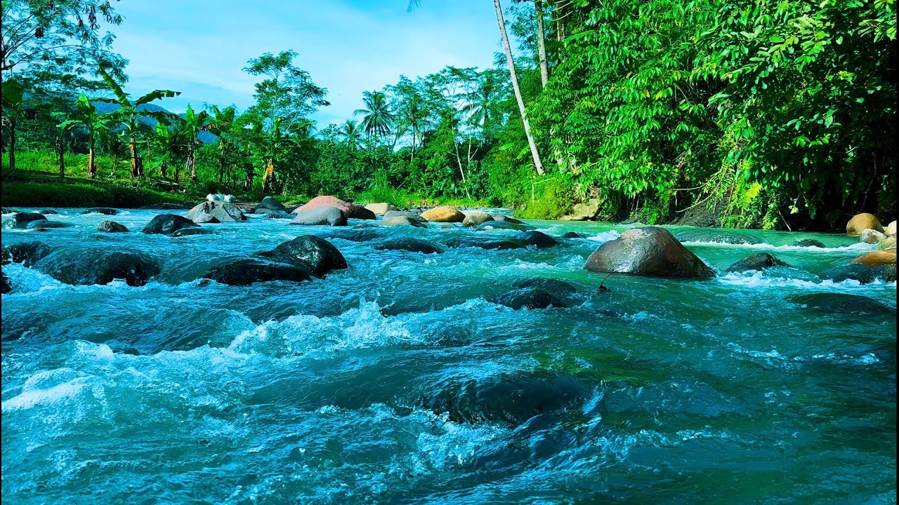 Experience ultimate relaxation and serenity as you watch this Mountain River Waterfall Flowing#54