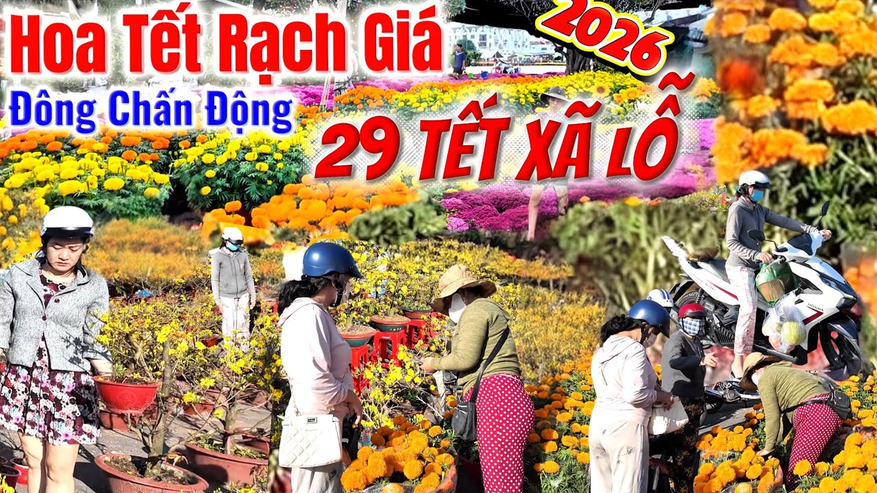 CHẤN ĐỘNG Hoa tết Bán Tháo, Bán Rẻ Xã Hàng Vào Ngày 29 Tết Tại Chợ 30/4 Rạch Giá, Kiên Giang