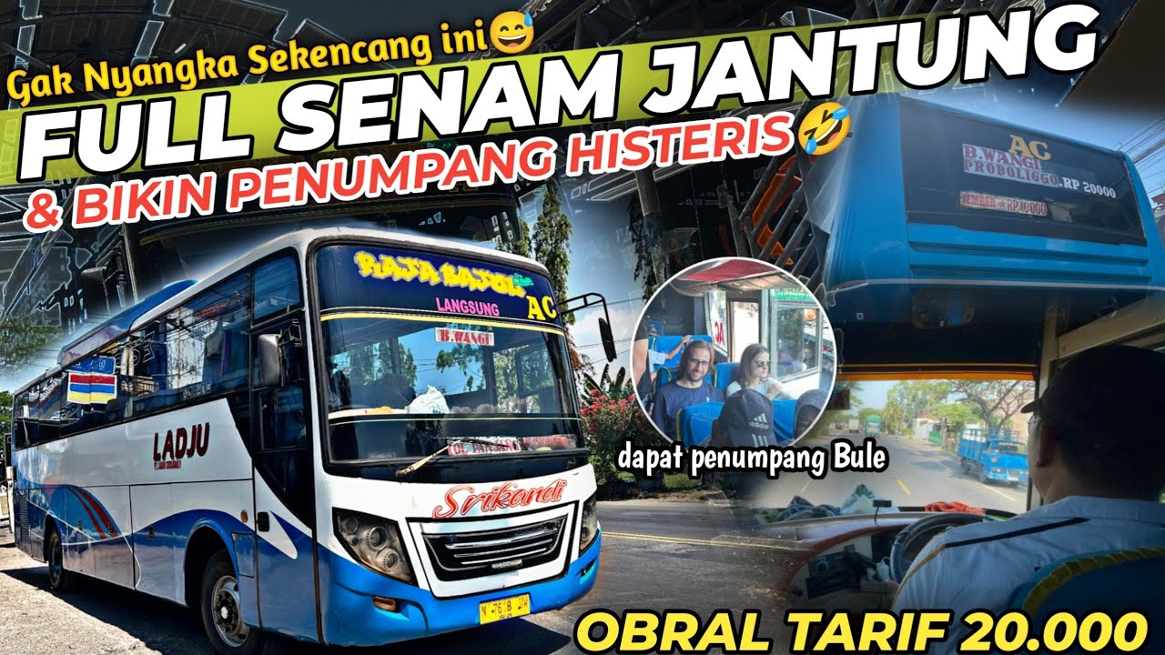 NYOBAIN BUS YG KATANYA KENCANG‼️SAMPAI BIKIN DENGKUL LEMES😅& OBRAL TARIF MURAH,Trip Ladju Raja Bajul