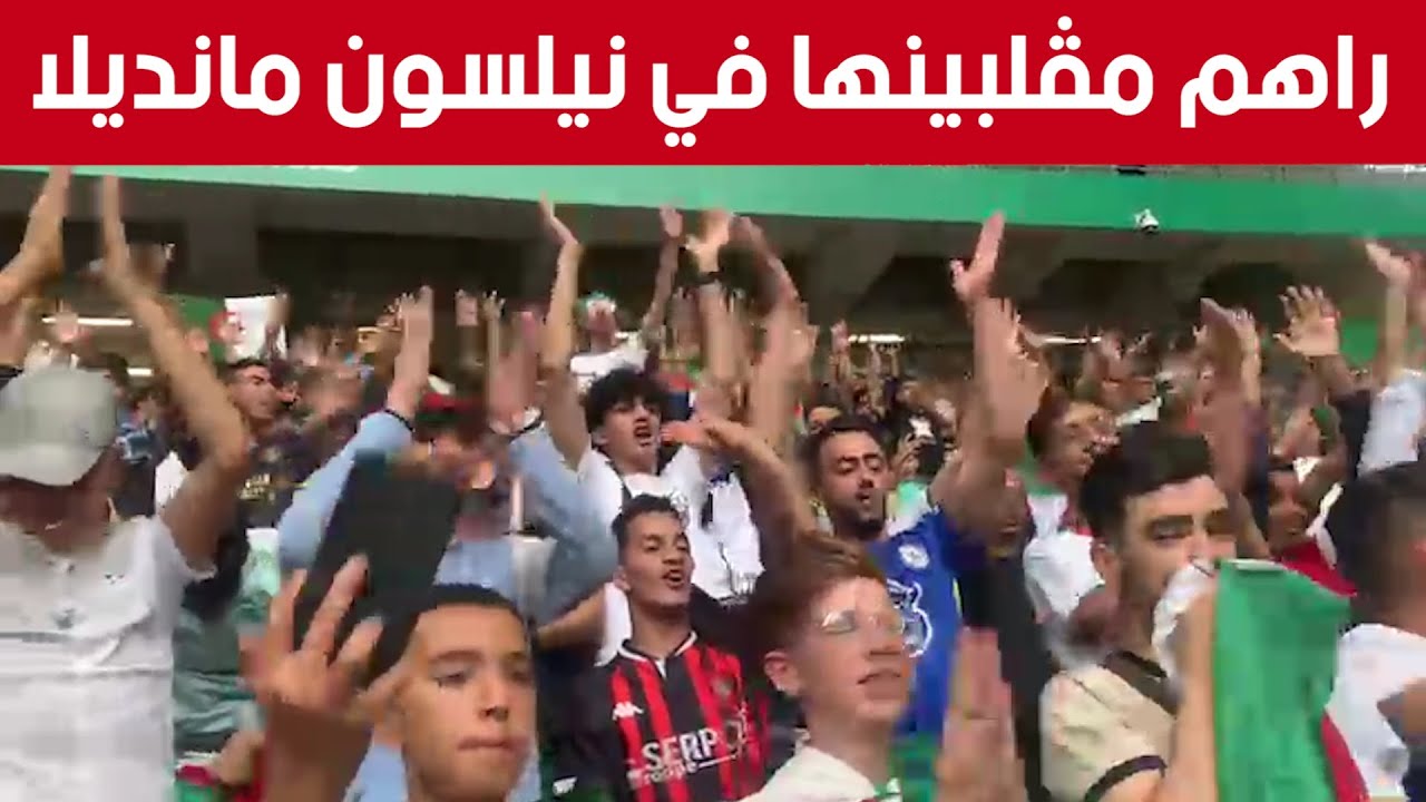 أنصار 