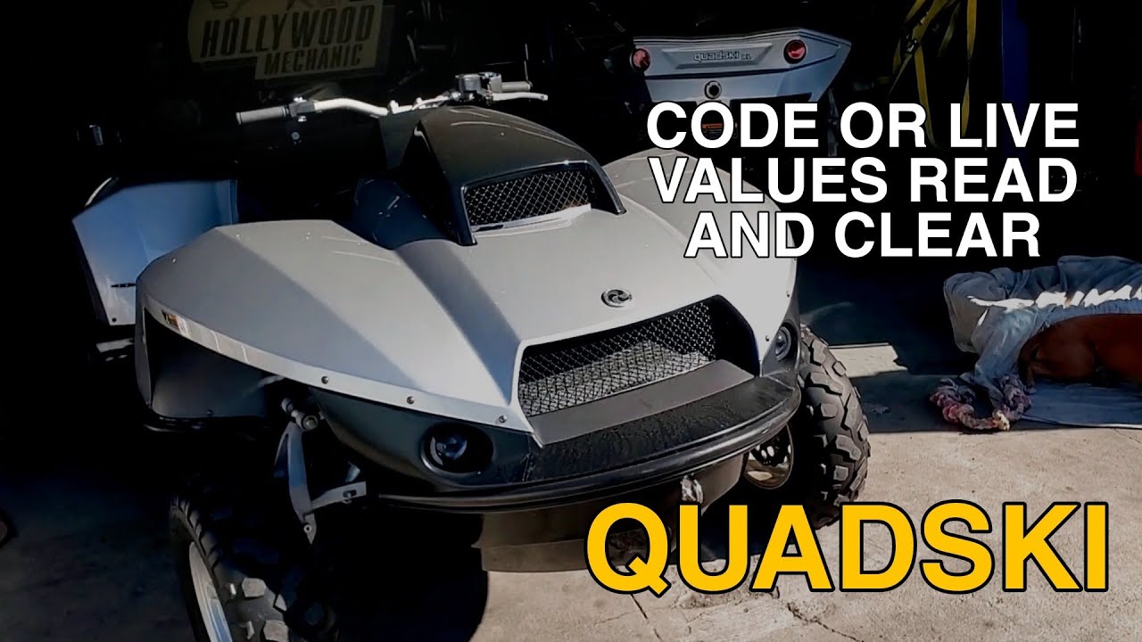 Gibbs Quadski Code Read or Live Values (How To)
