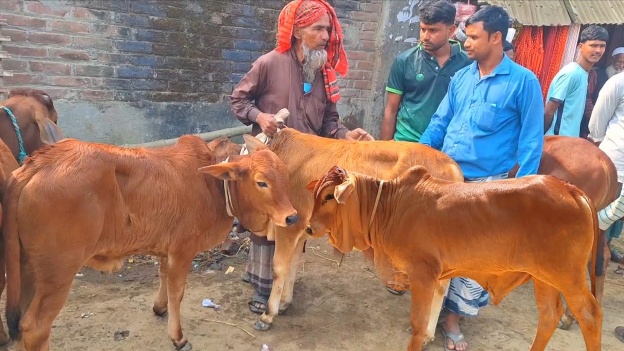 @আজ ২৬ জানুয়ারি