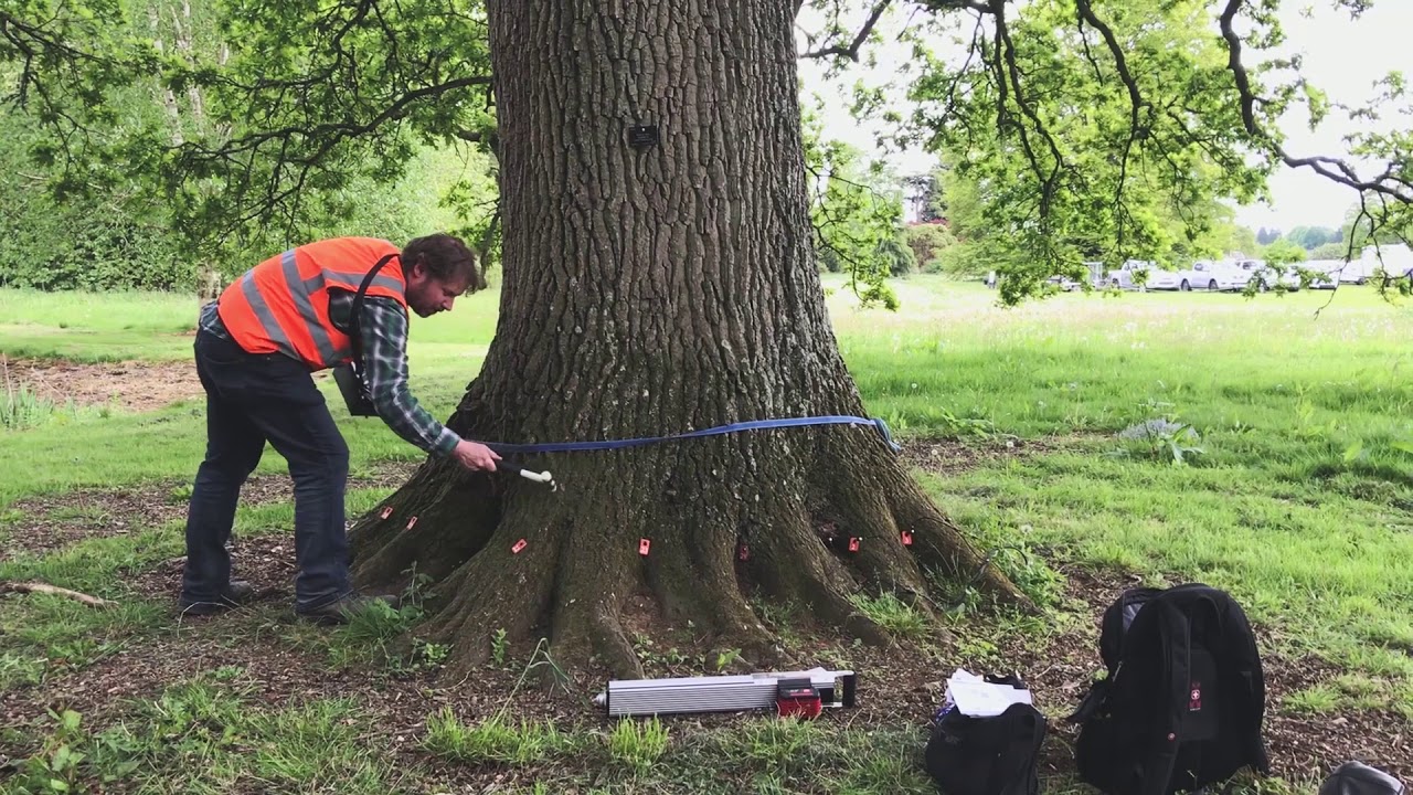 Arb Show 2019