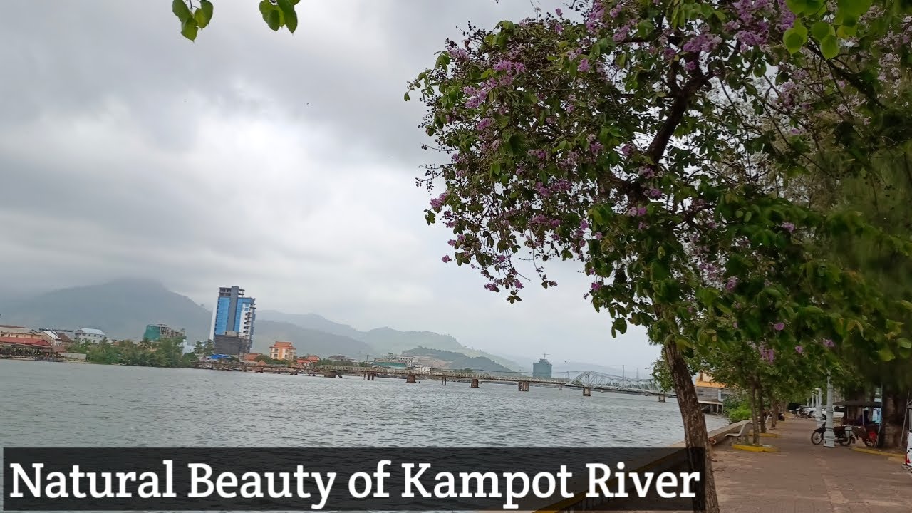 Natural Beauty of Kampot River // So Beautiful Place #SeaLifeTV