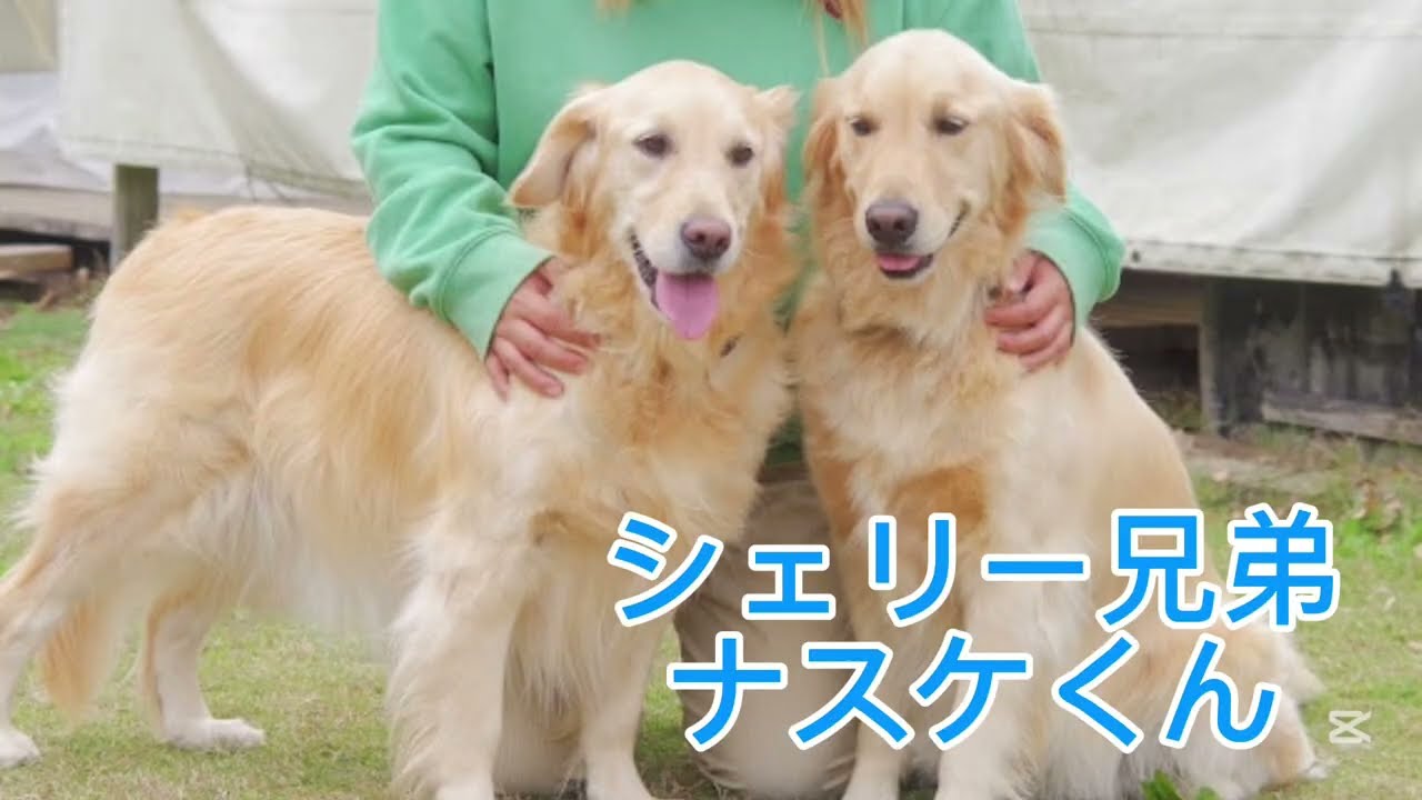 【家族会】シェリー夫婦愛？それとも兄弟愛？