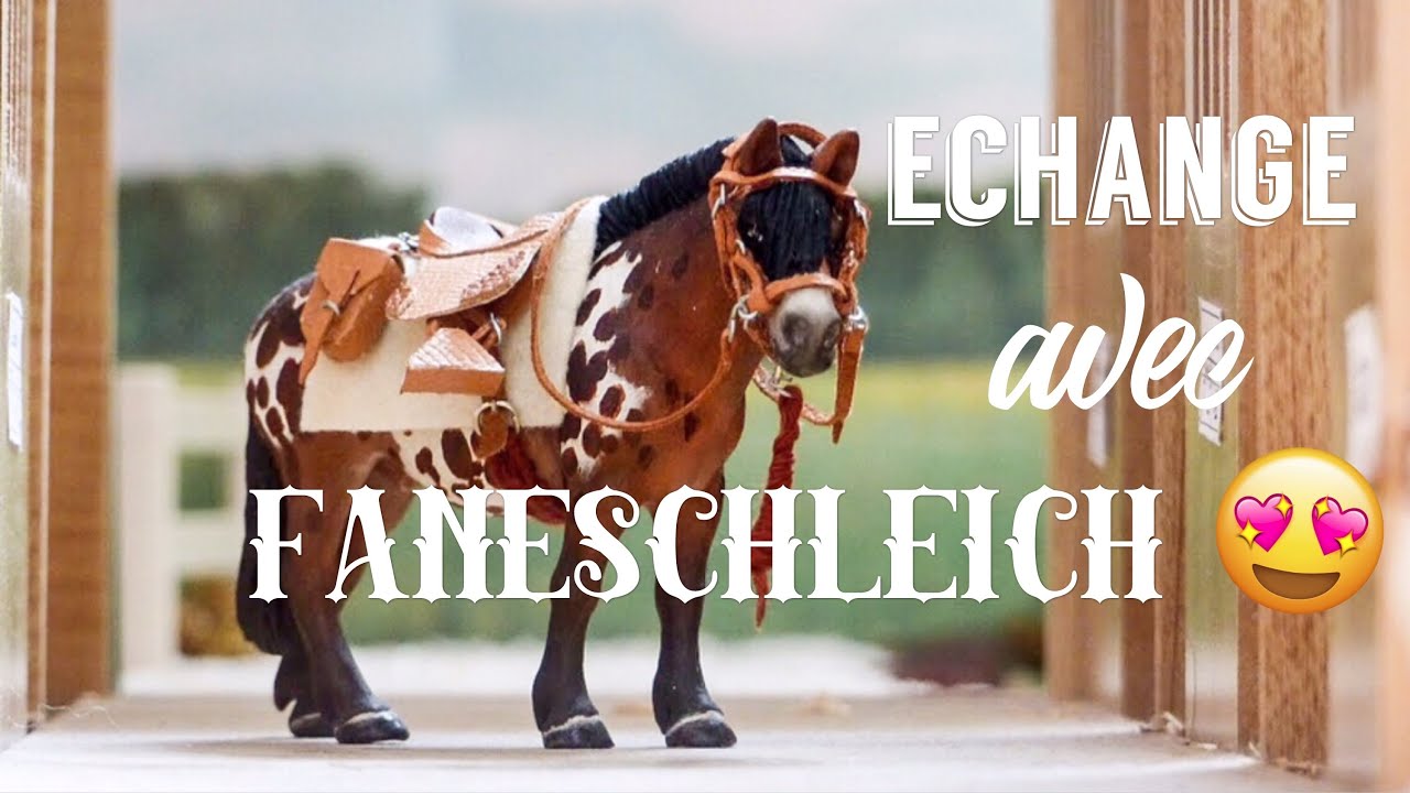 [Colis/Achats 47] Échange avec Faneschleich 😱