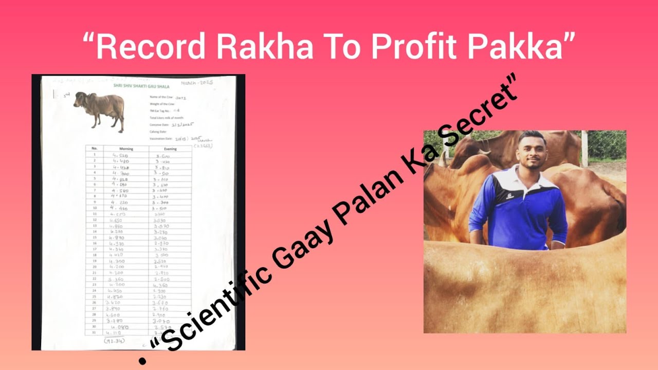 “Gaay Seva Tabhi Safal Jab Record Ho Sahi”#cow #gauseva #ourpride #indiancow #cattlebreeding