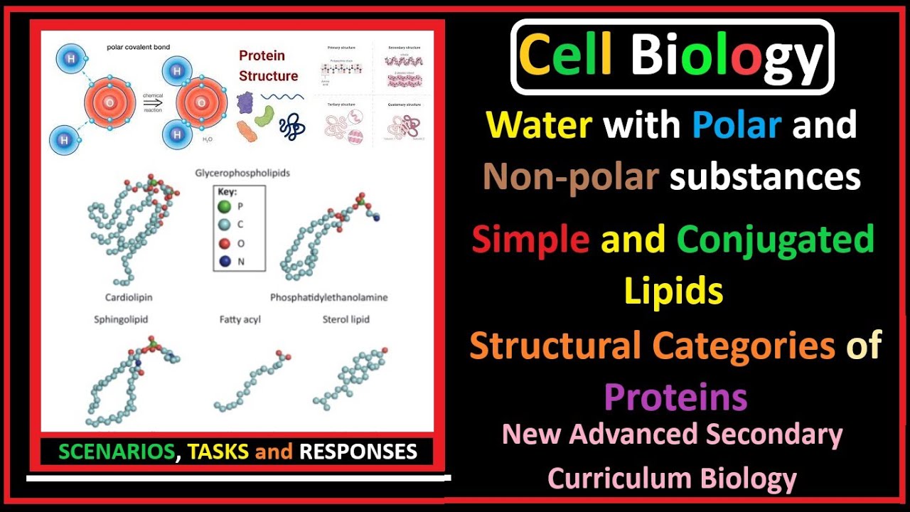 Cell Biology-1- Water, Lipids, Proteins, Their Properties, and Functions.