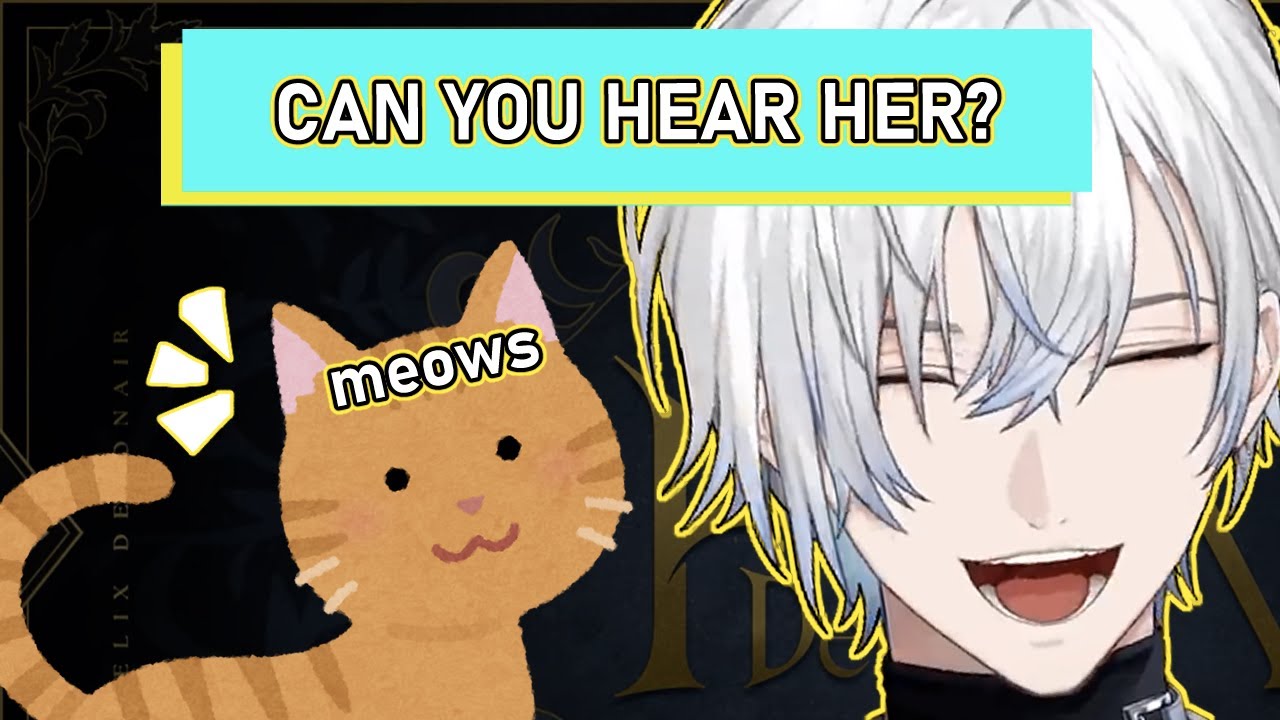 Kaelix's cat breaks into his room