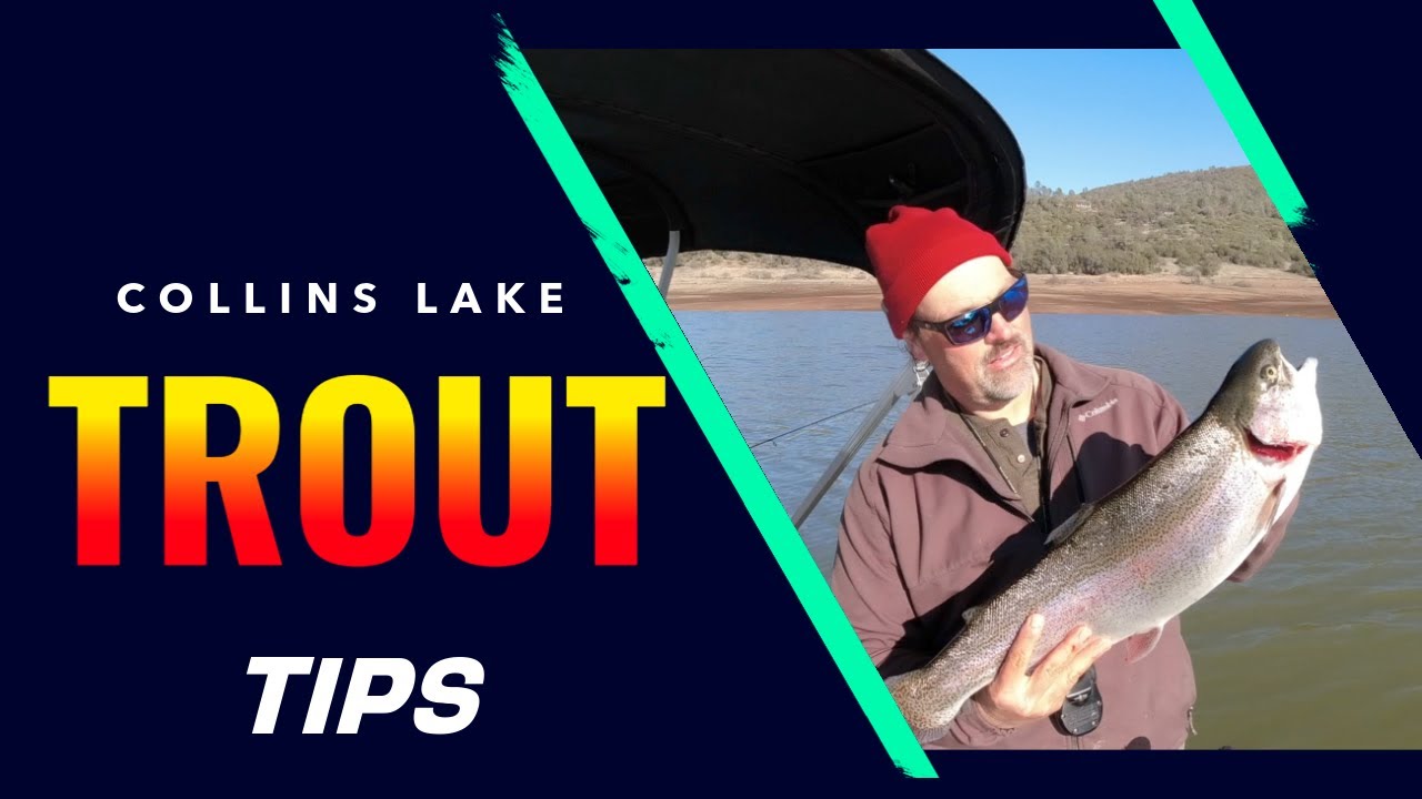 How To Catch Trout At Collins Lake