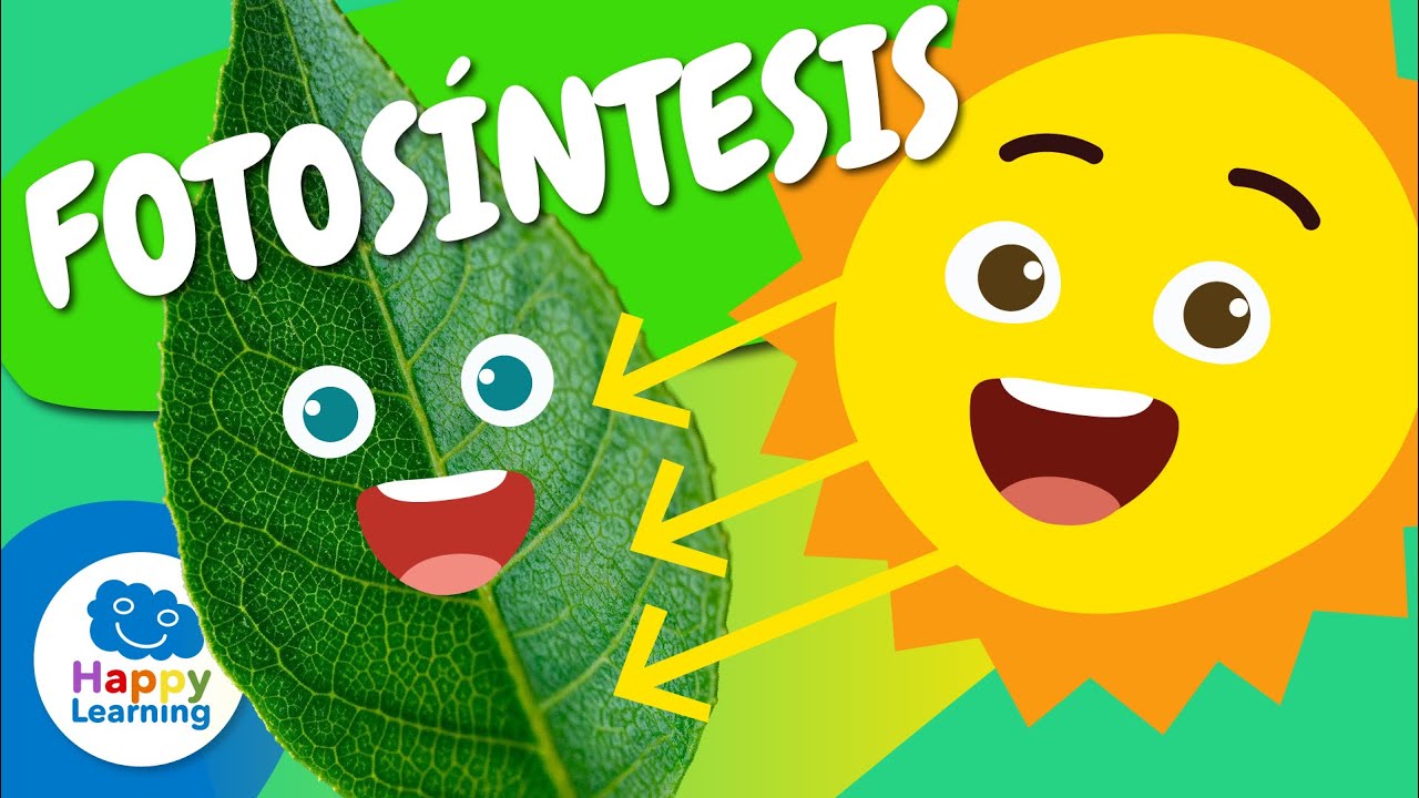 🌱 FOTOSÍNTESIS: ¿Cómo fabrican COMIDA las PLANTAS? | Vídeos Educativos para Niños | @HappyLearningES