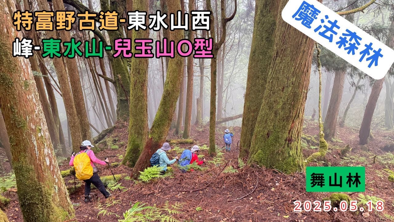 特富野古道-東水山西峰-東水山-兒玉山O型2025.05.18