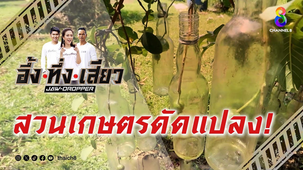 สวนเกษตรดัดแปลง! | อึ้ง ทึ่ง เสียว