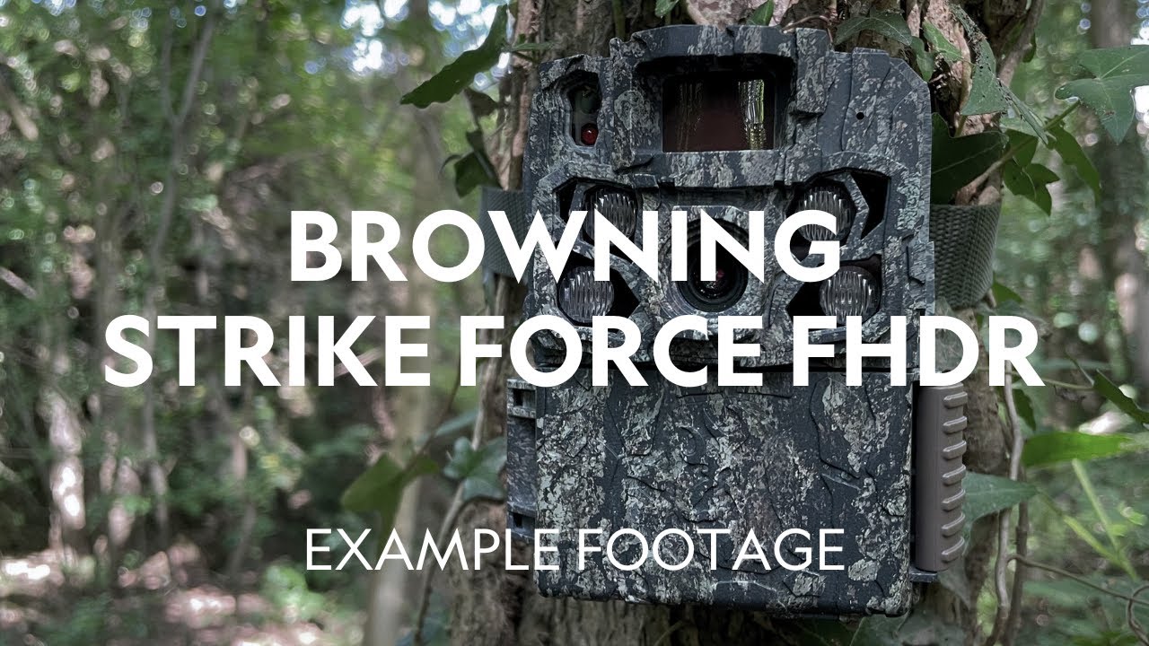 Example Footage | Browning Strike Force FHDR Trail Camera