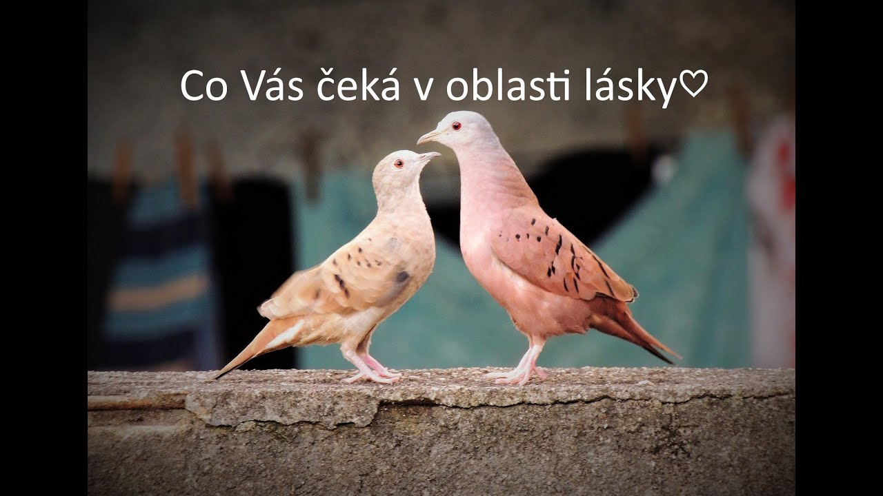 Láska Teď a Tady❤️Co Vás nyní čeká⭐@cestamiksoběvýkladykaret