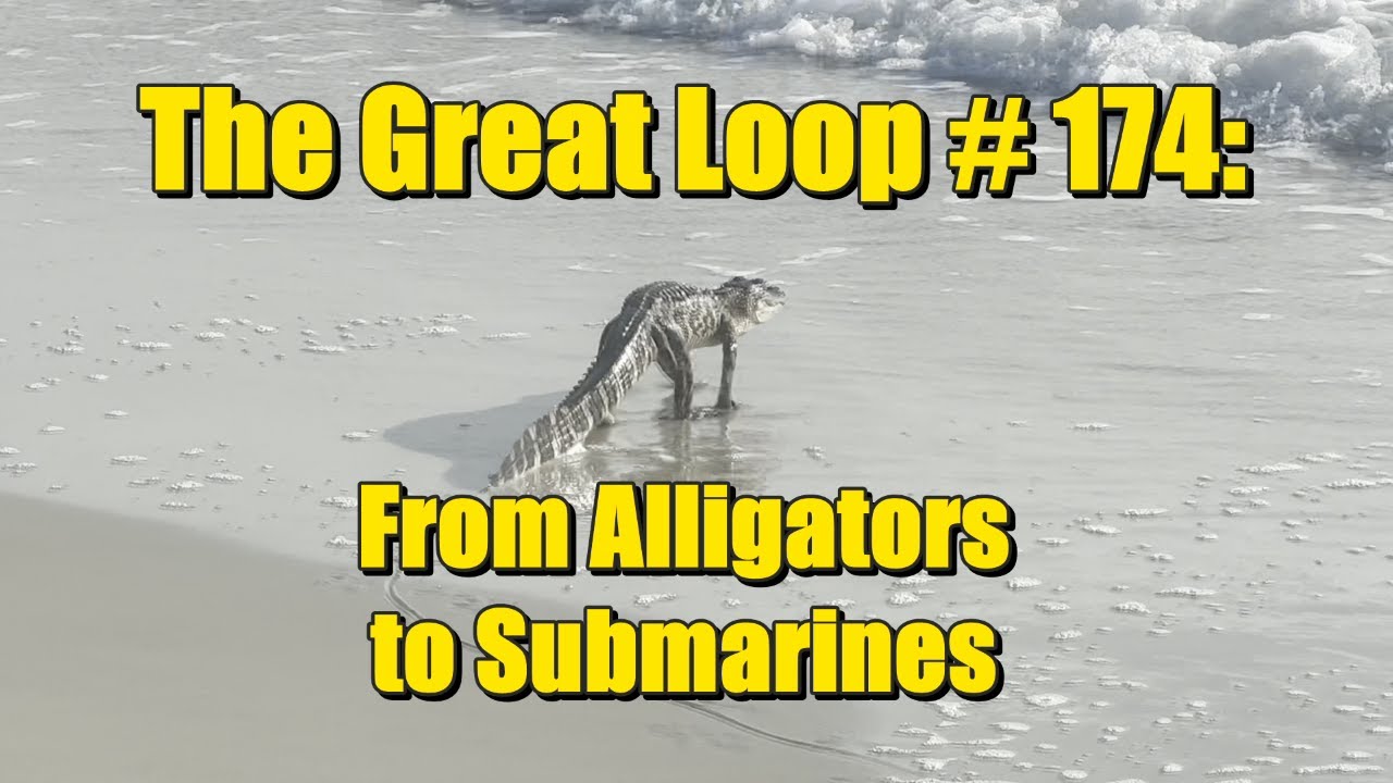 The Great Loop #174: From Alligators to Submarines