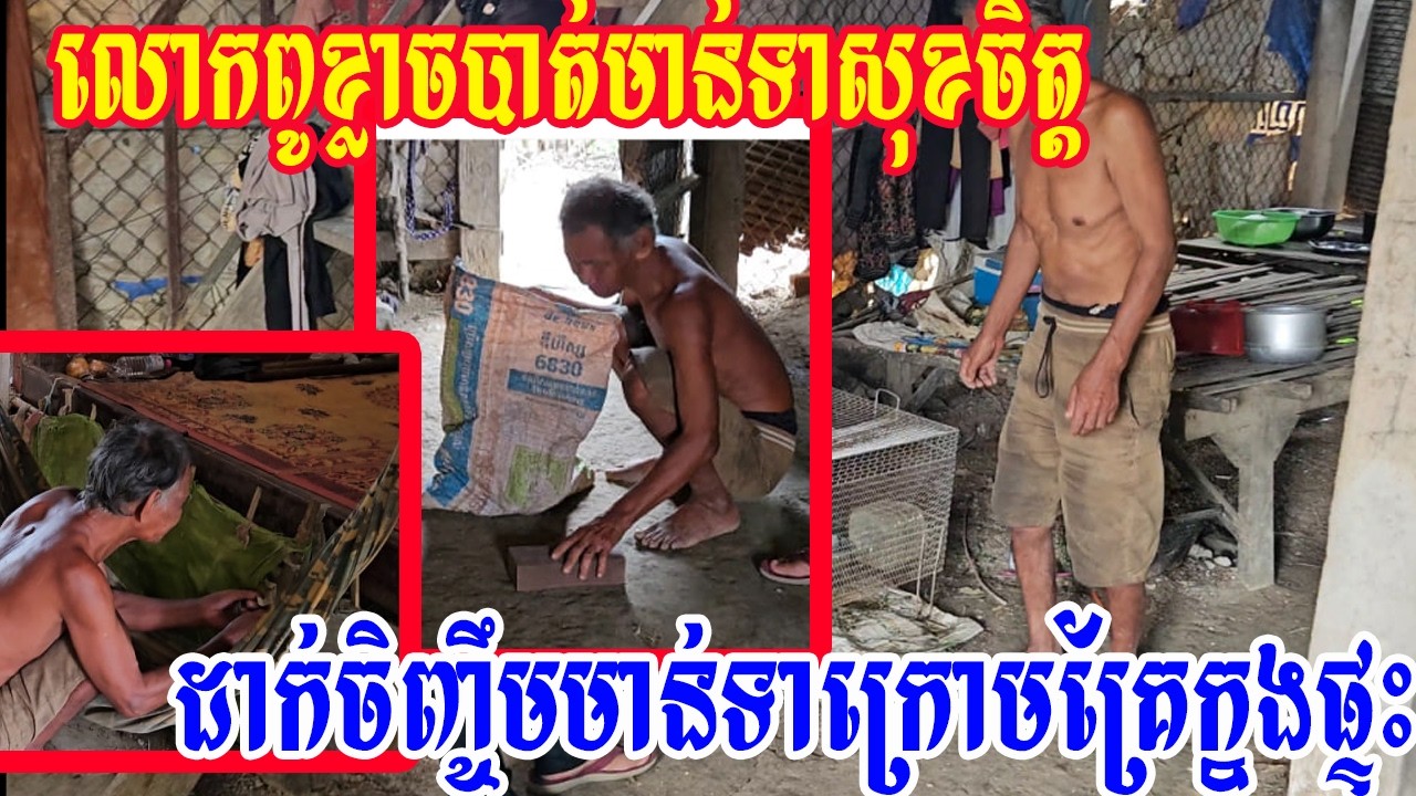លោកពូខ្លាចបាត់មាន់ទាសុខចិត្តដាក់ចិញ្ចឹមមាន់ទាក្រោមគ្រែក្នុងផ្ទះ