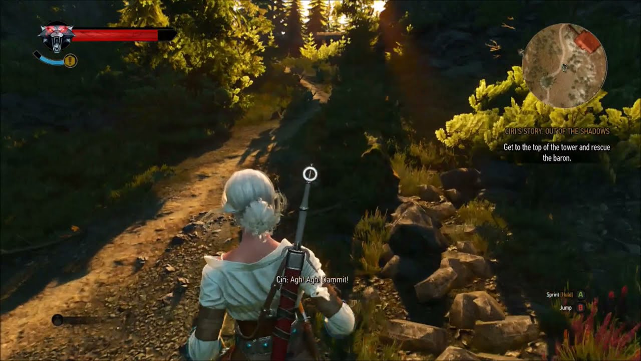 Witcher 3 Ciri's Story Get to the Top of the Tower