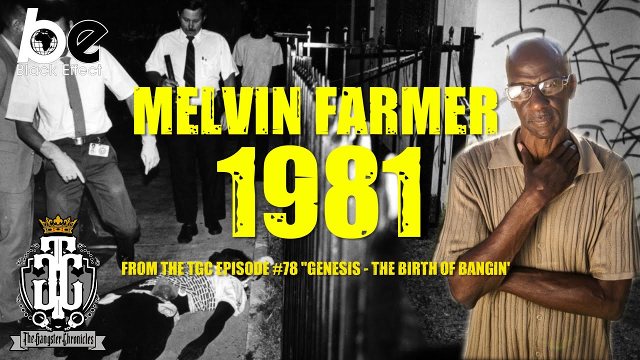 Melvin Farmer & Ayatollah Marv break down the significance of 1981