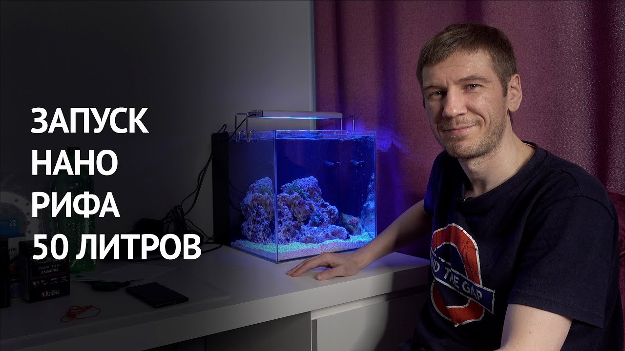 Запуск с нуля простого нанорифа