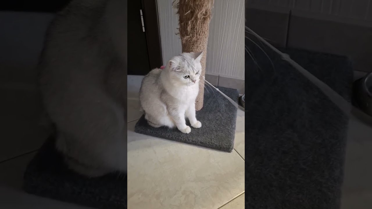 👌☄️💪лови момент 💯‼️