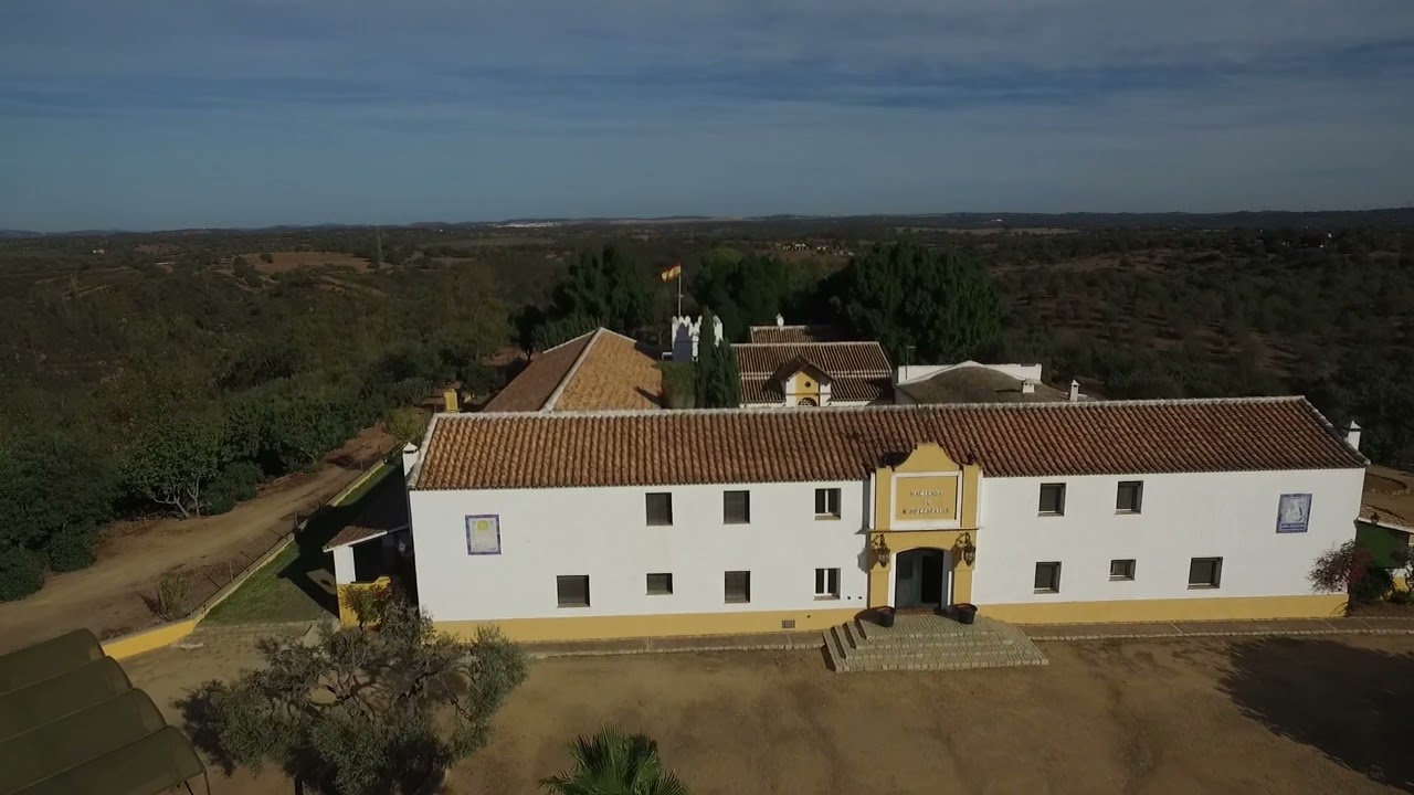 Una bonita casa de campo con magníficas vistas a 1/2 h de Sevilla #casadecampo #sevilla #findesemana
