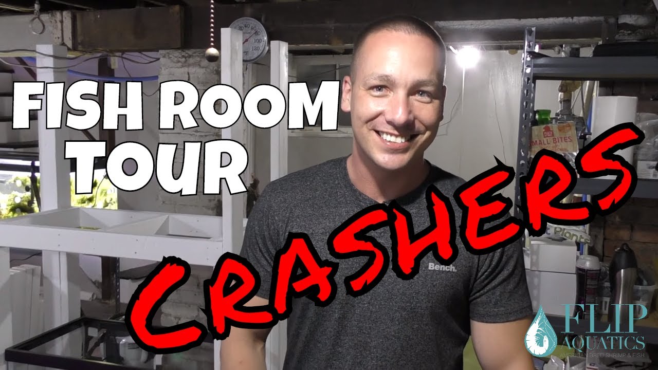 The King of DIY with a Planted Aquarium Tour - Fish Room